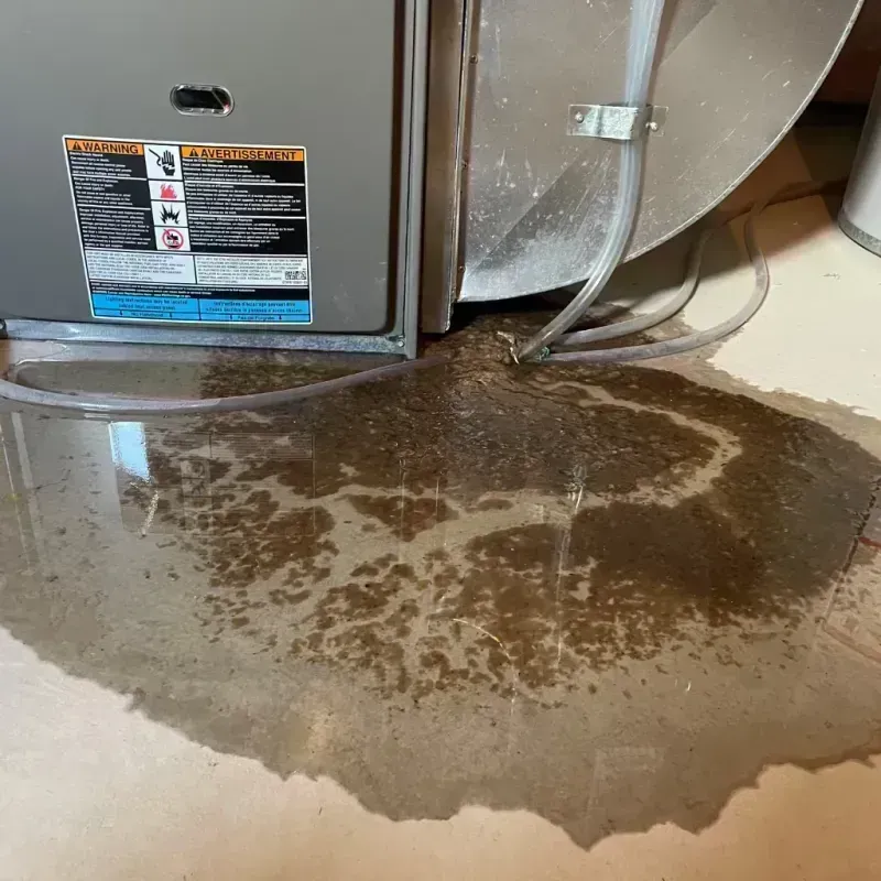 Appliance Leak Cleanup in Monett, MO